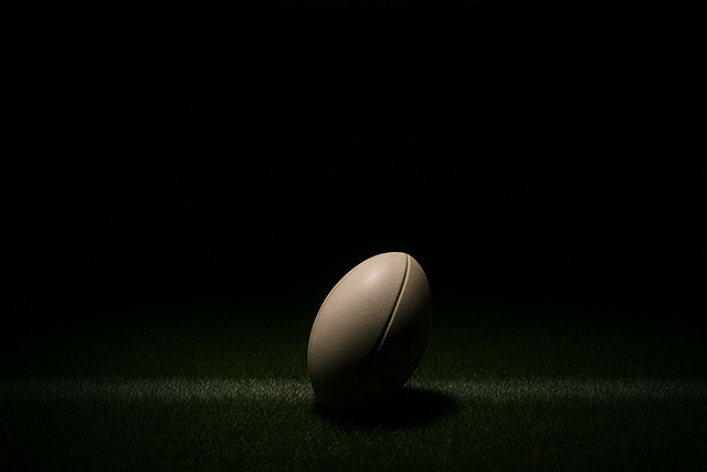 rugby ball (26)